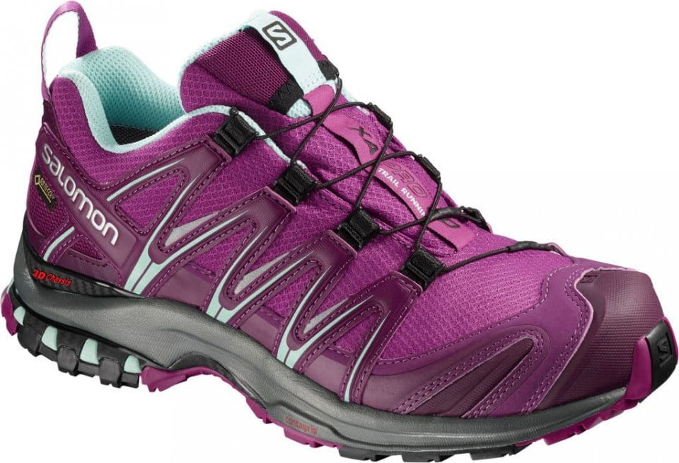 Pantofi trail Salomon XA PRO 3D GTX® W